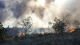 Замърсеният от тях въздух е опасен на километри околовръст