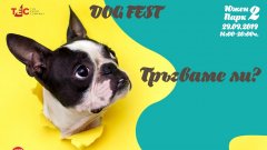 Dog Fest 2019 очаква всички стопани и техните кучета