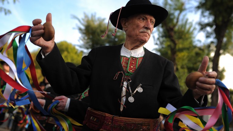 Странната традиция, заради която центърът на Мадрид беше блокиран от хиляди овце (снимки)