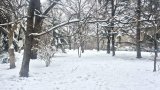 Валежите няма да са само в най-високите части на планините