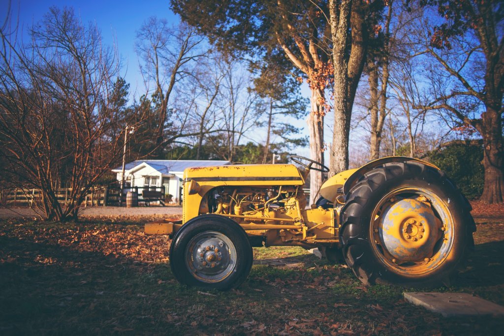 pexels-james-cheney-2575135