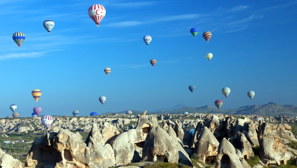 turkey
