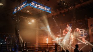 Нидерландска школа, бразилско майсторство и италиански стил на SENSHI 29