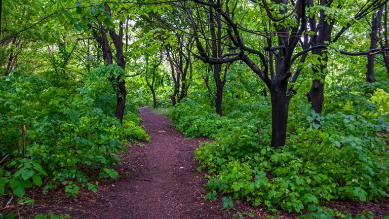 Ако "Бедечка" остане парк, общината ще трябва да похарчи десетки милиони лева