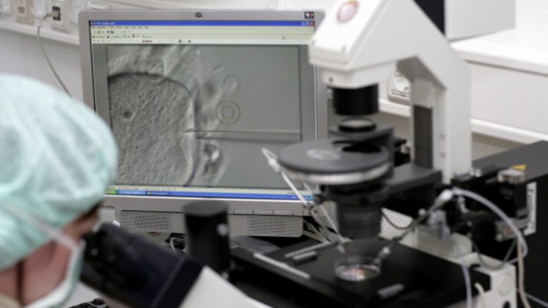 В бъдеще са възможни съвсем нови типове семейства