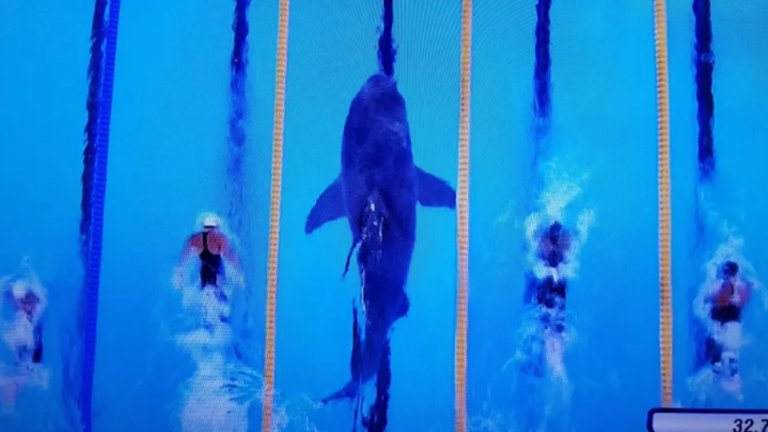 Въпреки 23-те си златни медала в олимпийския басейн, Майкъл Фелпс нямаше шанс срещу Голямата бяла акула