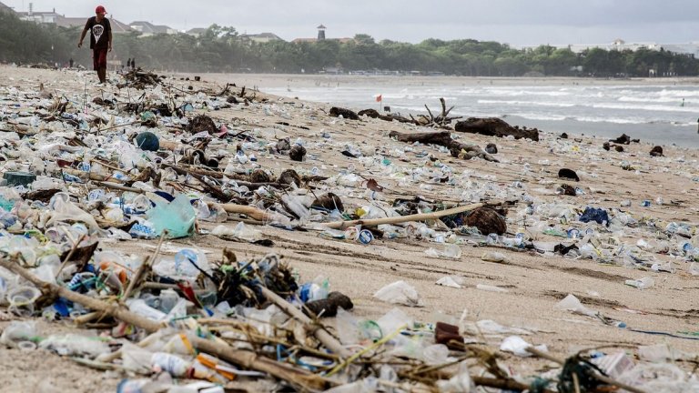 Светът трябва да се изправи пред токсичните резултати от любовта ни към пластмасата. Дали природата може да ни предложи алтернативи?