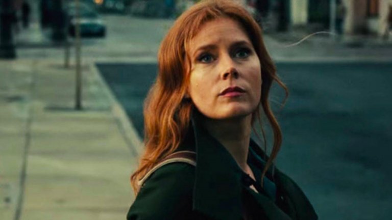 The Woman on the Window 
"Жената на прозореца" е роман от Ей Джей Фин, който тази година получава своята нова кино екранизация. Главната роля е поверена на Ейми Адамс, която ни е добре позната със сложни персонажи като тези в "Отворени рани" и "Американска схема". Тя е Анна Фокс – жена, чиято смазваща агорафобия я е затворила в апартамента й в Ню Йорк, откъдето тя наблюдава живота само през прозорците си. Когато срещу нея се нанасят нови съседи, Анна започва да следи ежедневието им почти фанатично. Един ден обаче става свидетел на престъпление, което я поставя пред жестока дилема. В ролите освен Адамс са Гари Олдман, Джулиан Мур и Антъни Маки. Премиерата за България е на 15 май.