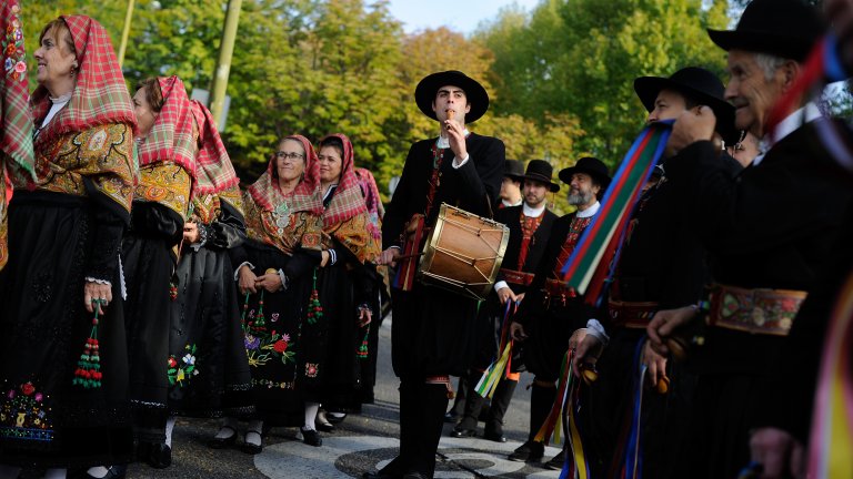 Странната традиция, заради която центърът на Мадрид беше блокиран от хиляди овце (снимки)