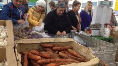 След указа на Путин за унищожаване на забранени за внос стоки са унищожени над 800 тона храни