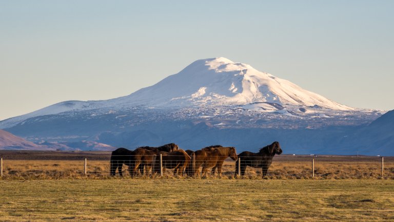 Хекла изглежда идилично, но изригва често.