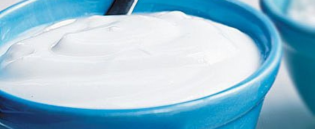 plain-yogurt