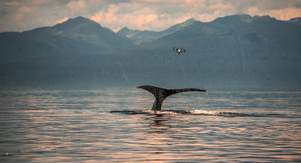 christianmiler_alaska_snotbot-34_1200