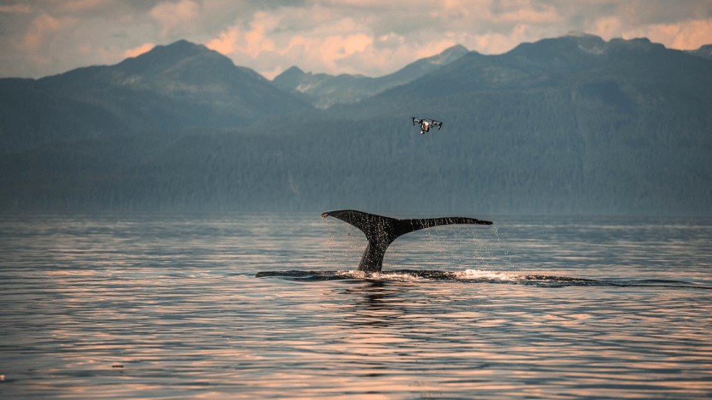 christianmiler_alaska_snotbot-34_1200