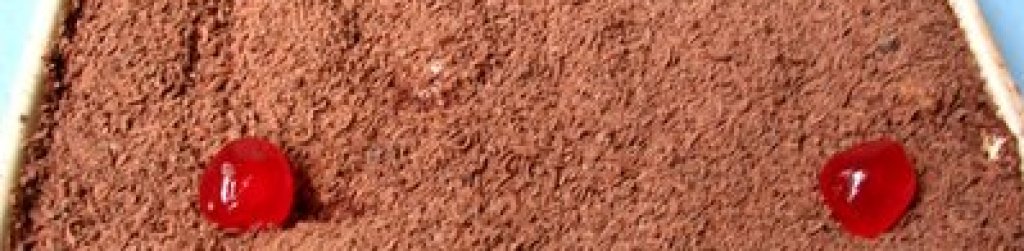 Tiramisu_t