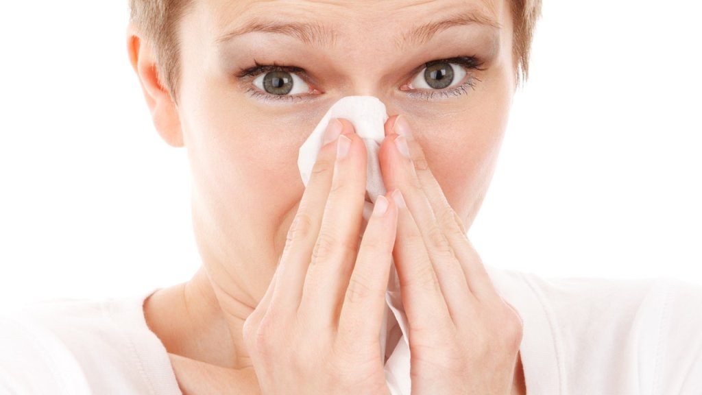 allergy-cold-disease-flu-41284