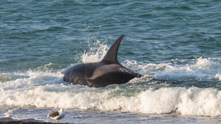 Граждани са предупредили РИОСВ, но все още няма реакция от институциите