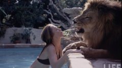 70 души постарадаха, за да създадат холивудския кич "Roar", в който се снима 19-годишната Мелани Грифит и нейното лудо семейство