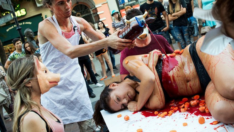 Във всеки един момент някой може да основе НПО „Ям вратна пържола всеки ден" и да почне да коли свинИ на бул. „Витоша" пред очите на дечицата, а телевизиите да избухнат със заглавия от типа на: „МесоядниТЕ пак леят кървища посред бял ден."