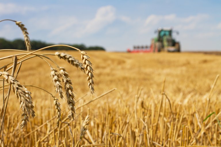 Редица държави в Близкия изток и Северна Африка разчитат на доставките от жито от Русия и Украйна, а сега те са изправени пред потенциална криза.