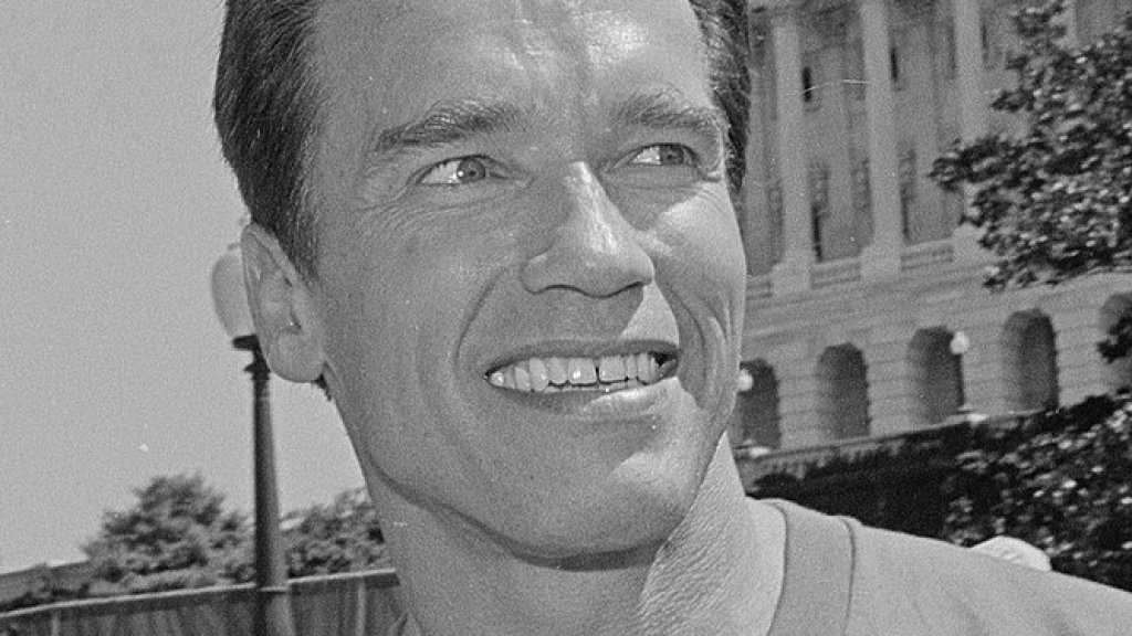 667px-Arnold_Schwarzenegger_on_Capitol_Hill_(cropped)
