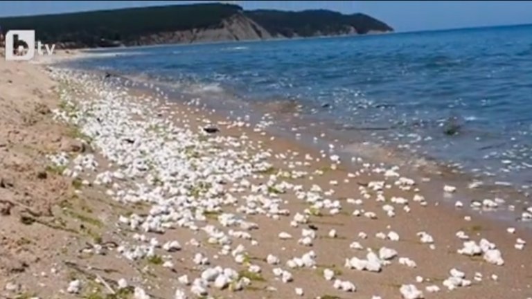 Инцидентът идва няколко дни след мазния разлив около Иракли