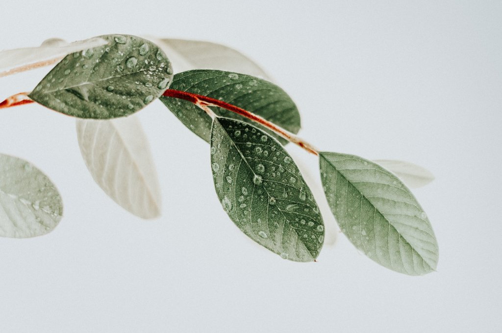 okeykat-tgxqpsVG-0A-unsplash