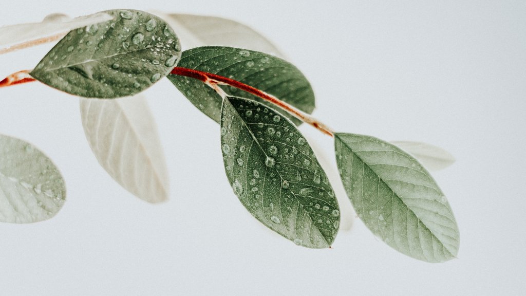 okeykat-tgxqpsVG-0A-unsplash