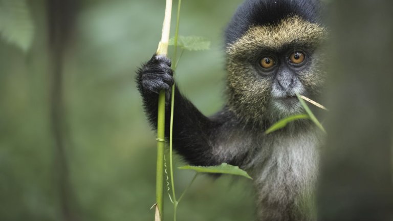 Тазгодишният конкурс Nikon Comedy Wildlife Awards вече започна и може да участвате в него. В галерията може да се вдъхновите с невиждани снимки от миналогодишното издание: