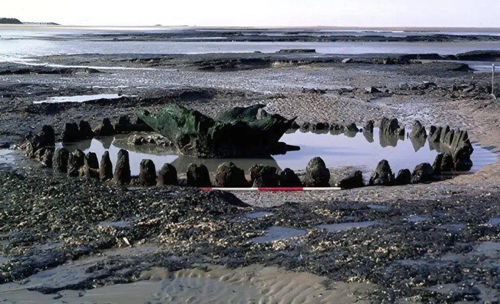 seahenge-l