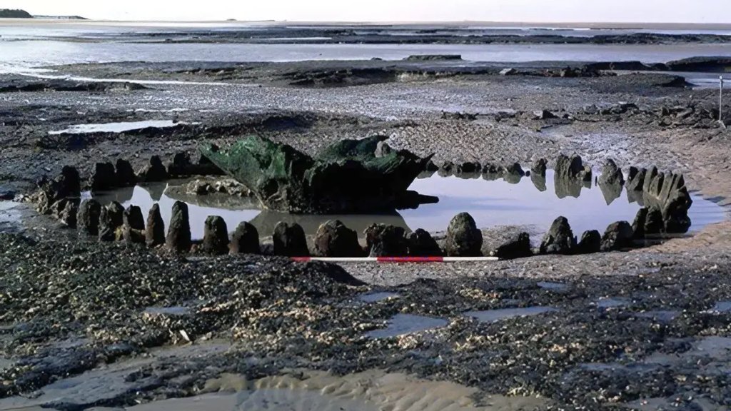 seahenge-l
