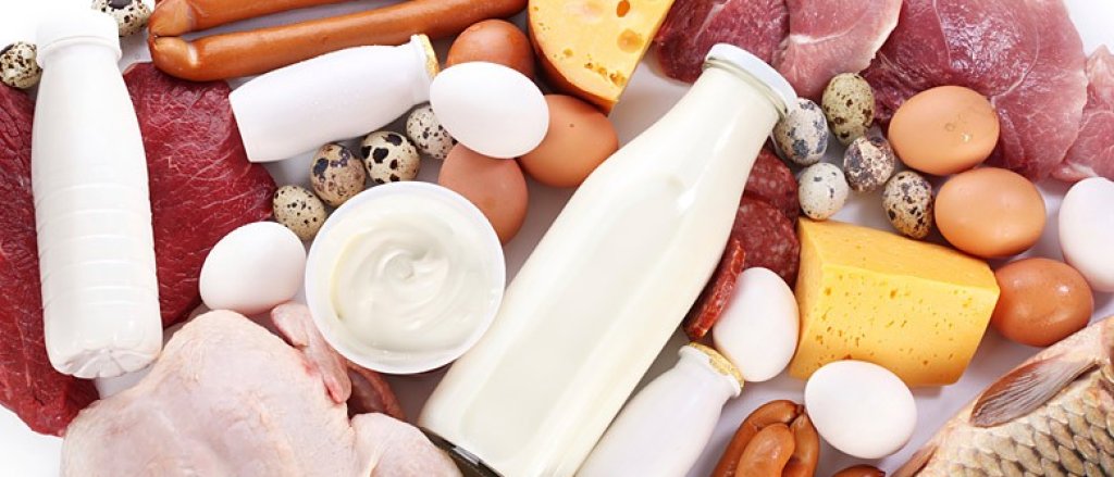 03442_MeatDairyEggs