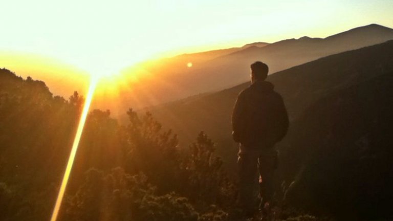 "Истини", които не са съвсем истинни