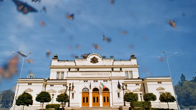 Пеперуди полетяха в парламента
