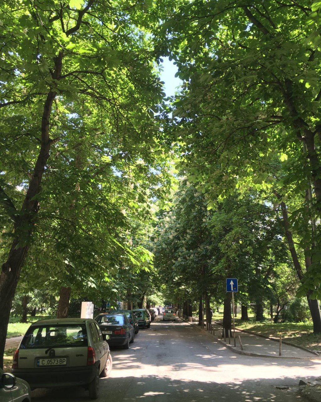 улица