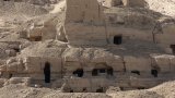 Учени изследваха геном на много добре запазил се скелет