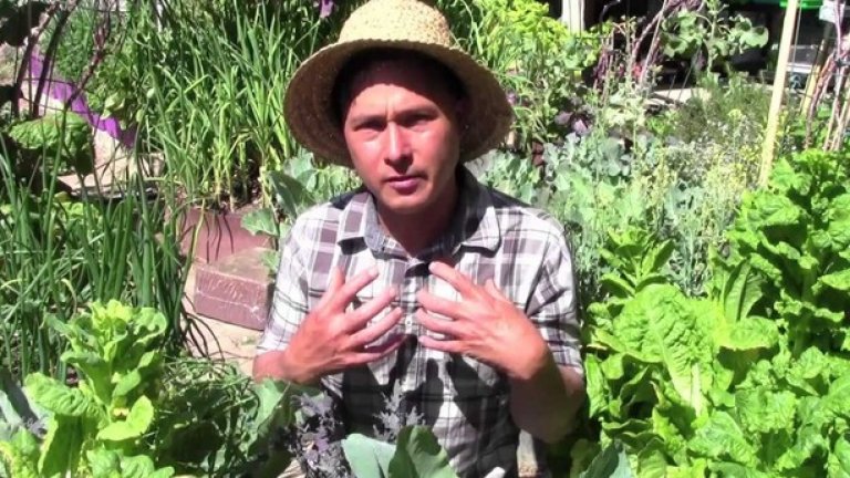 Growing Your Greens
Как да започнете своята първа градина, как да наторявате, как да се грижите за растенията си. Тук градинарството изглежда атрактивно, а съветите са достатъчно разнообразни, за да привлекат ентусиасти от различни краища на света.