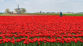 Къде и как можем да се насладим на страхотните гледки