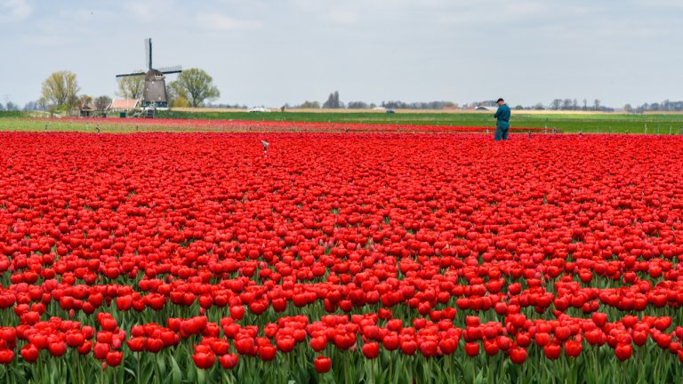 Къде и как можем да се насладим на страхотните гледки
