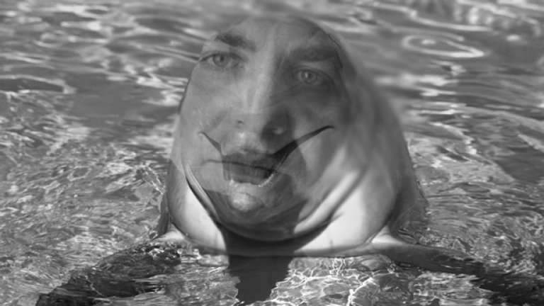 Гмуркане за рейтинг