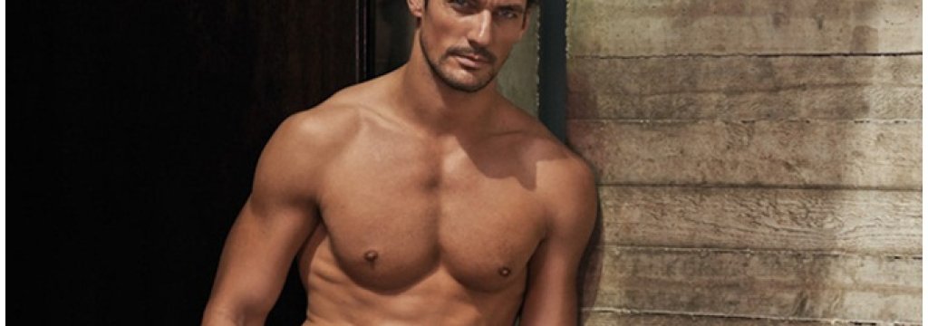 David osnovna 2