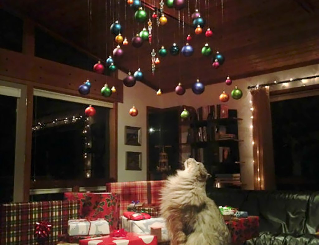 Доста красиво се е получило