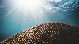 daniel-oberg-41Wuv1xsmGM-unsplash