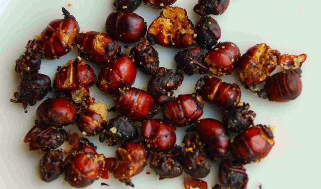 Ants_For_Food_SG