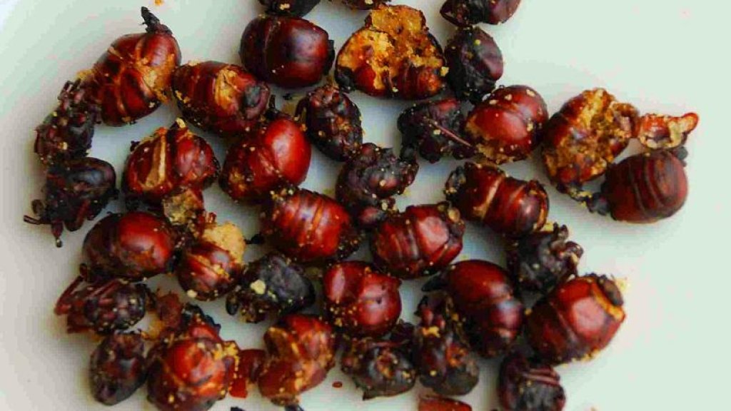 Ants_For_Food_SG