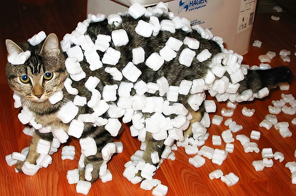 Cat_demonstrating_static_cling_with_styrofoam_peanuts_upscayled_4x