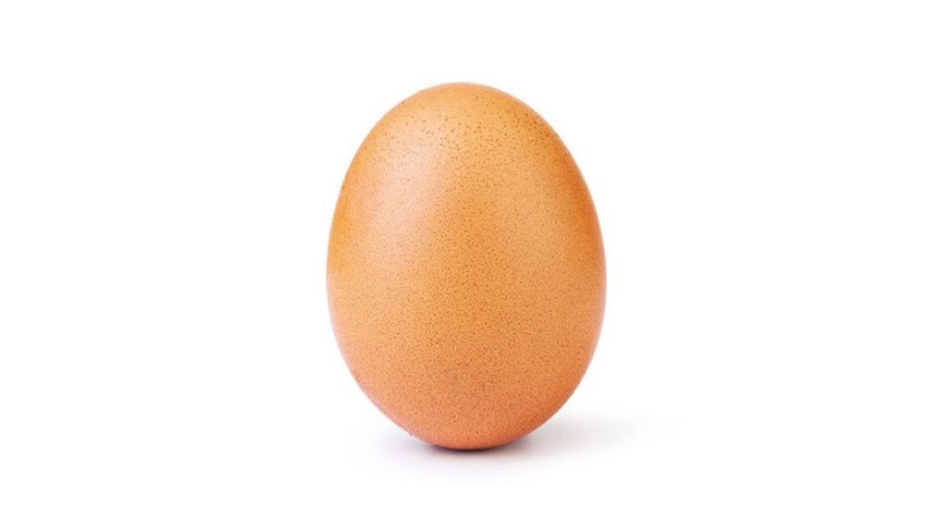 egg, яйце