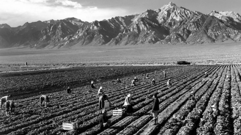 Най-големият дял от бюджета на ЕС е за субсидираното селско стопанство