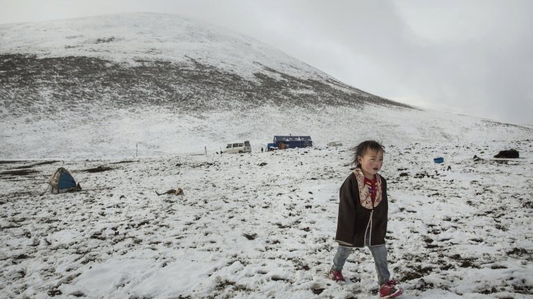 В условия като на Тибетското плато, прехраната не е много и плодородната земя е ценна.