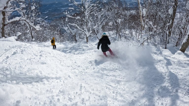 Много хора идват в Япония за фрийрайд в пудрата.